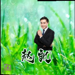 赵凯